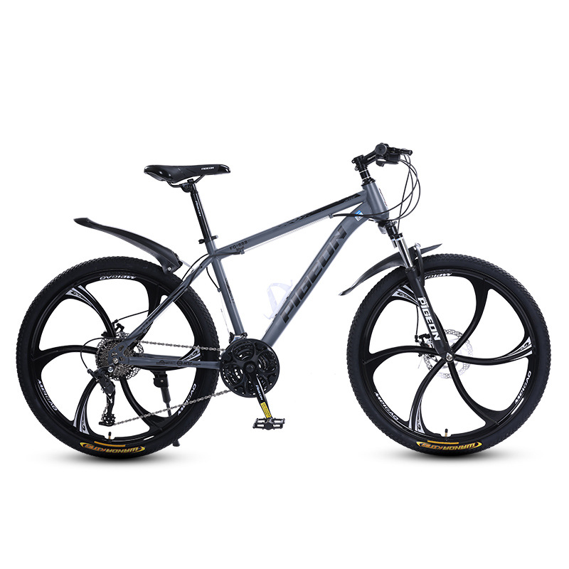 Picture of Flying Pigeon Bike Men's Cross-country Variable Speed Mountain Bike 24 Inch Outdoor Sports Cycling Road Bike