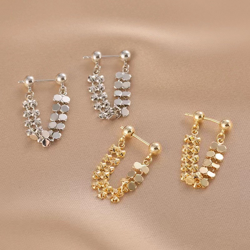 Sparkling ~ Metallic Texture Circle Tassel Earrings Light Luxury Niche Earrings Elegant Sequins Advanced Earrings