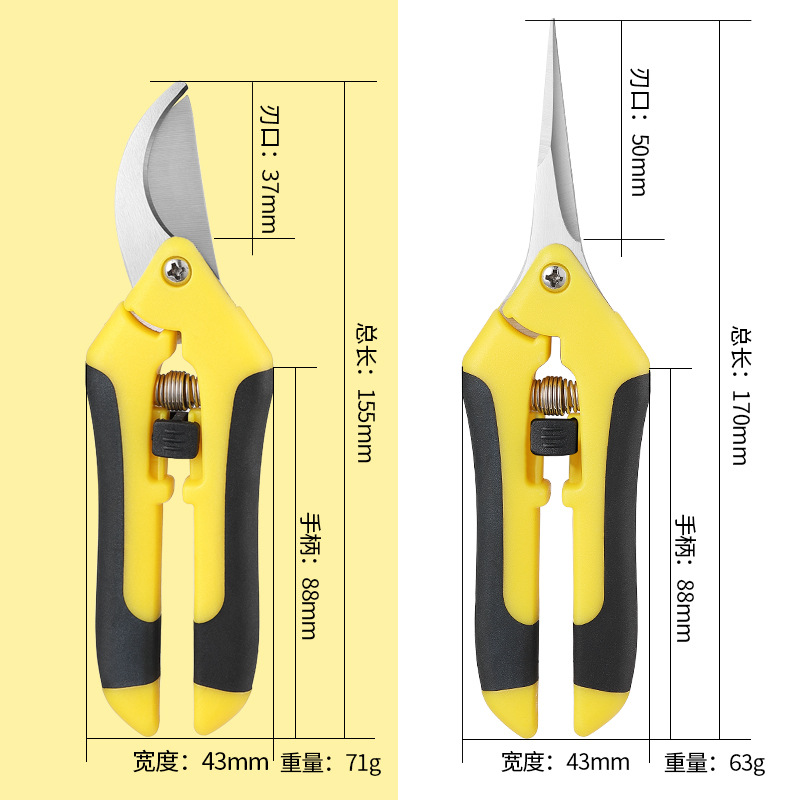 Picture of Gardening Scissors, Pruning Shears, Fruit and Vegetable Scissors, Branch Scissors, Fruit Tree Scissors, Grape Picking Scissors, Garden Tools, Fruit Picking Ready Stock