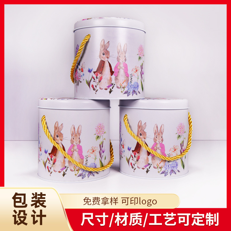Spot portable iron box Peter white rabbit candy box candy box cookies tinplate barrel manufacturers wholesale