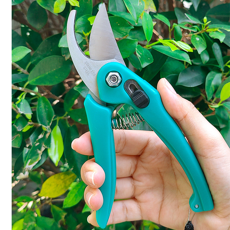 Pruning Shears Branch Scissors Special Pruning Scissors for Garden Fruit Trees Art Garden Scissors for Flower Repair Household Garden Scissors