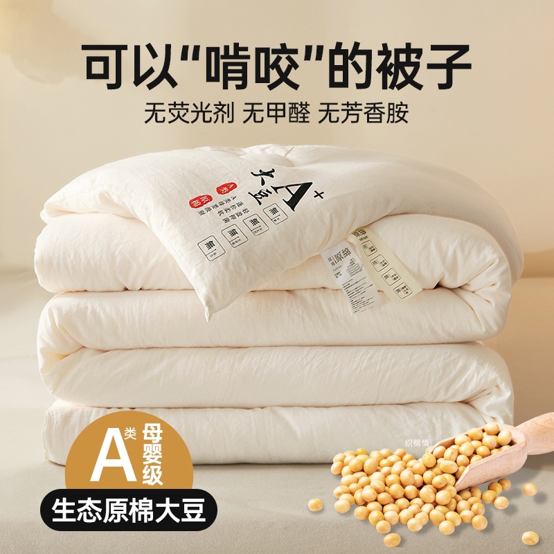 Class A Raw Cotton Soybean Fiber Quilt Summer Quilt Thickened Quilt Core Spring and Autumn Quilt Summer Cool Quilt Student Winter Quilt Gift