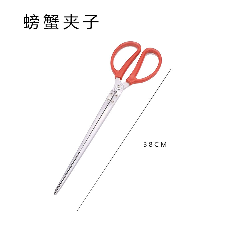 Picture of Professional Sea Catching Tool, Beach Set, Adult and Kidsren's Equipment, Clam Rake, Crab Catching Clip