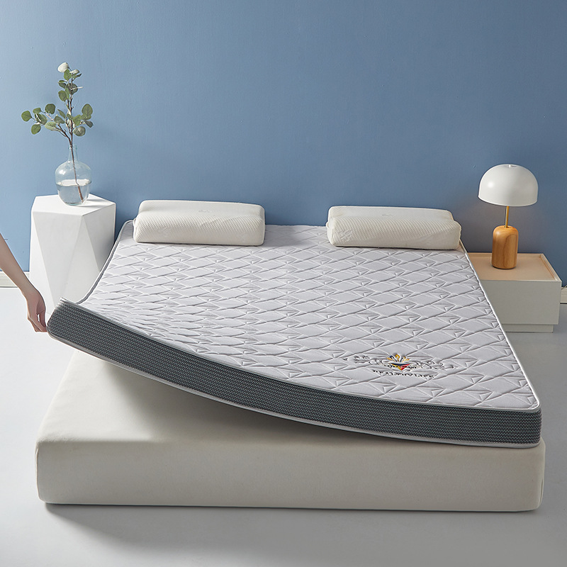 Picture of Latex Memory Sponge Mattress Household Cushion Cushion Special Thickened Sponge Mat for Student Dormitory Tatami Mat
