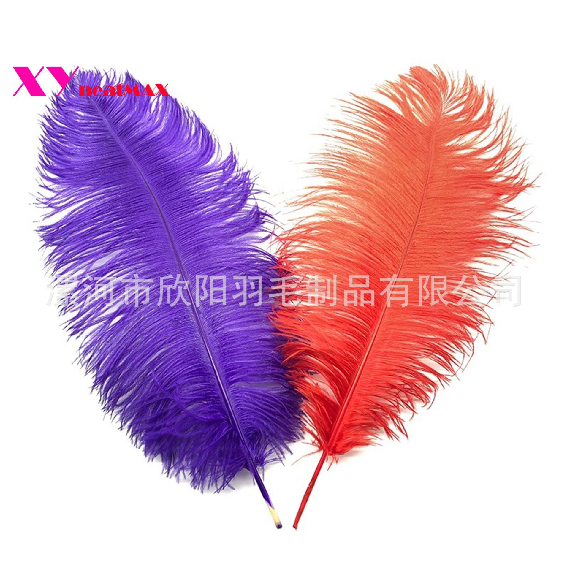 Color ostrich hair 20-25cm table flower wedding window lighting stage decoration props