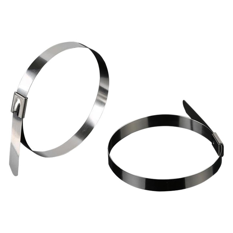 Factory wholesale 201 stainless steel cable ties 4.6~19mm white steel ball self-locking metal Marine hoop cable ties