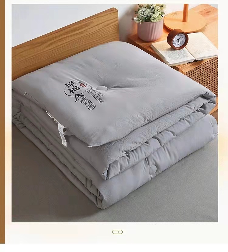 Picture of Japanese-style unprinted raw cotton soybean quilt core category A mother baby air conditioning quilt thickened winter quilt spring and autumn quilt core gift quilt