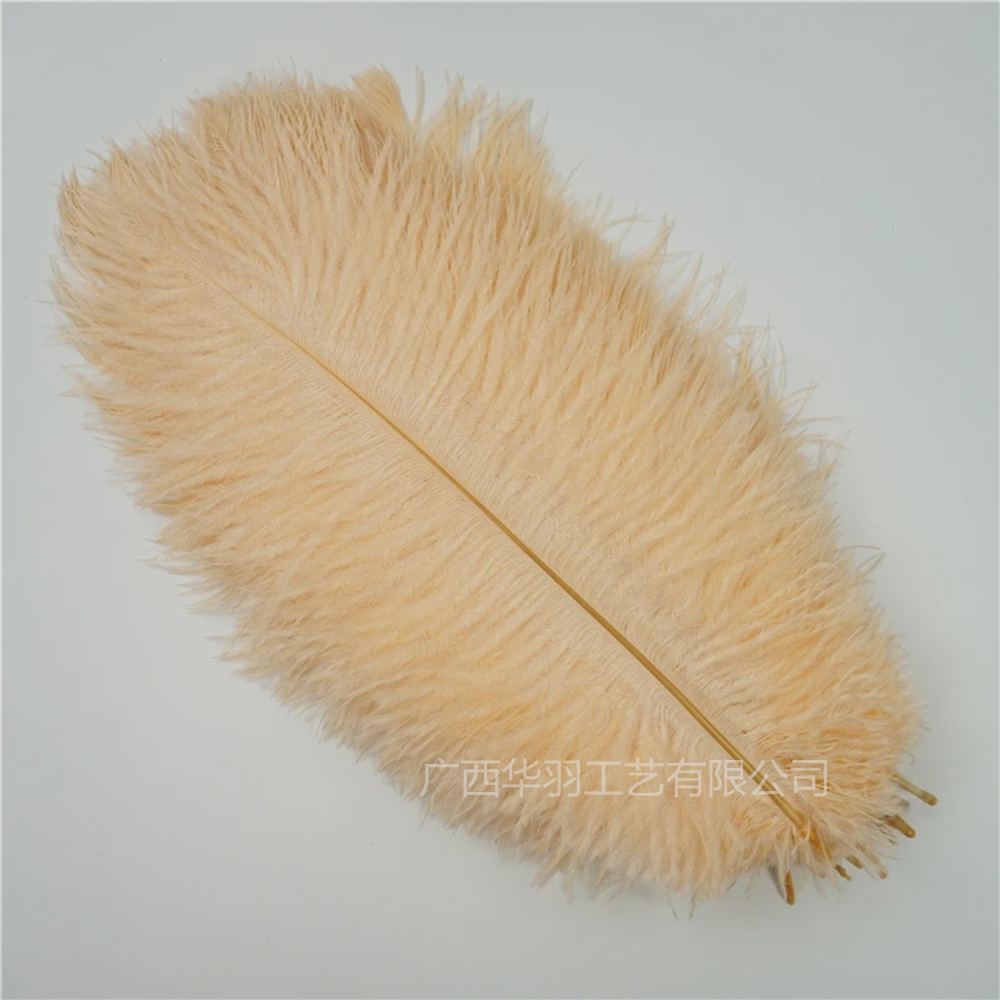 Picture of 20-25cm Ostrich Feathers Wholesale Manufacturer in Stock Wedding Decoration Feathers DIY Crafts Stage Costumes Ostrich Feathers