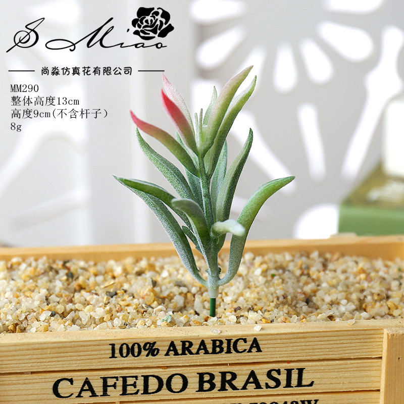 Picture of 003 Flocked Green Succulent Flower Head Creative DIY Supplies Bonsai Accessories Artificial Flower Jinhua Factory Direct Supply