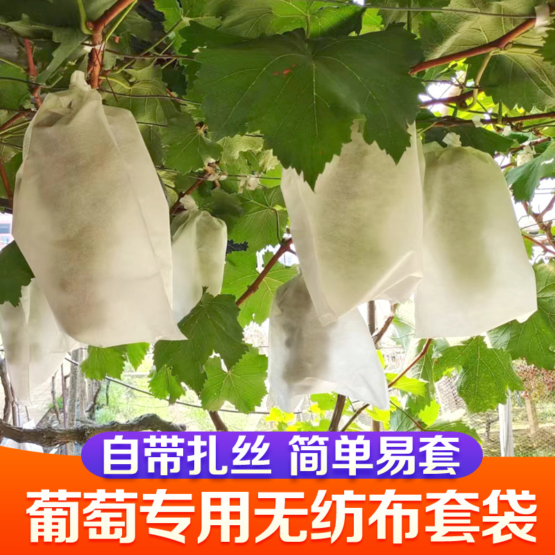 Non-Woven Grape Fruit Bag, Bird-Proof and Insect Bag, Breathable Fruit Protection Pear Bagging, Special Wholesale