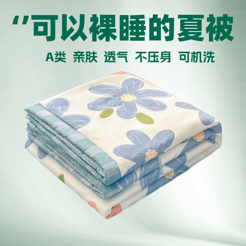 Washed Cotton Summer Cool Quilt Air-conditioning Quilt Core Summer Thin Spring and Autumn Quilt Single Machine Washable 2025 Wholesale