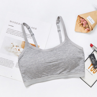 Picture of European and American Foreign Trade Breathable Short Camisole Beautiful Back Bra Fixed Cup No Steel Ring Wrap Breast Tube Top Underwear bra