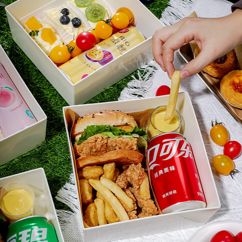 Reusable Picnic Box, Outdoor Camping Portable Sushi Lunch Box, Dessert Fruit Cake Box