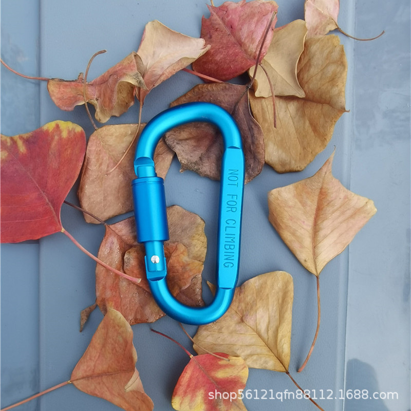 Picture of Outdoor aluminum alloy D-type quick hanging travel camping carabiner equipment camping carabiner large hanging buckle