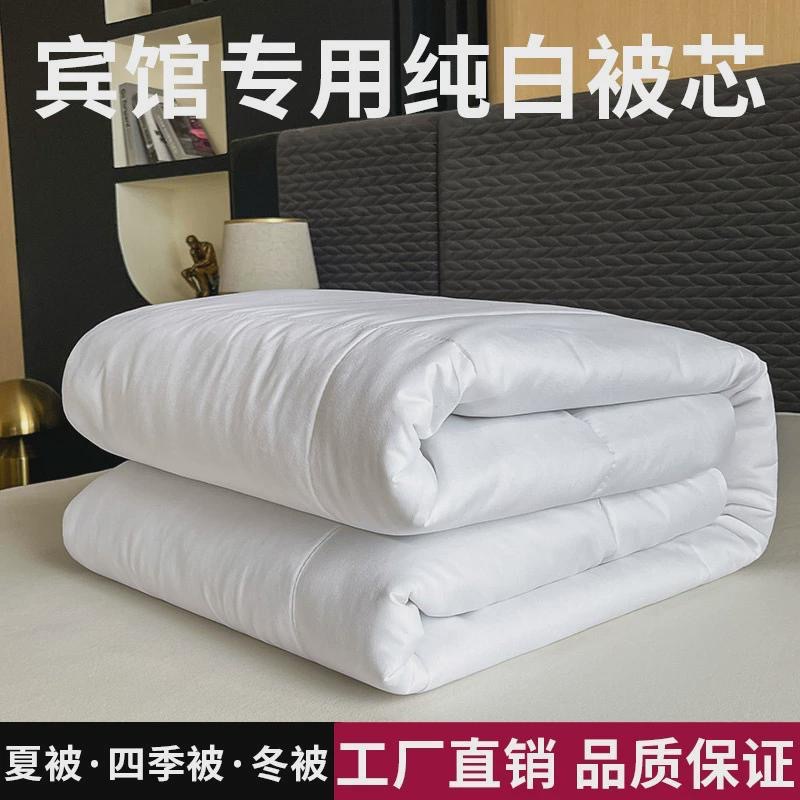 Picture of Hotel Homestay Hotel Quilt Core Quilt Sanding Thickened Warm Double Spring Autumn Winter Summer Quilt Feather Silk Cotton Four Seasons