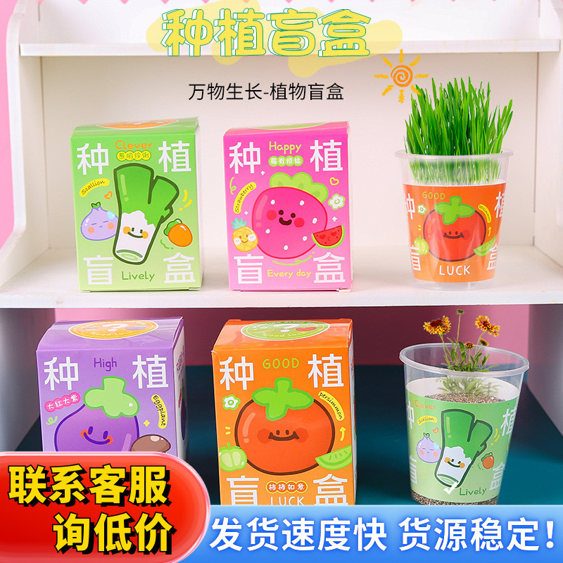 Green Plant Children's Desktop Class Opening Oxygen Bar Small Gift Award Office Blind Box Planting Potted Student Award
