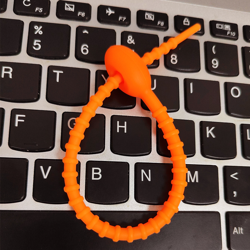 Picture of Color silicone ribbon key chain DIY clothing bag jewelry key chain lanyard data cable storage Winder