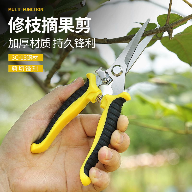 Gardening Fruit Shears Fruit Tree Shears Pruning Shears Stainless Steel Fruit and Vegetable Shears Outdoor Pruning Tools