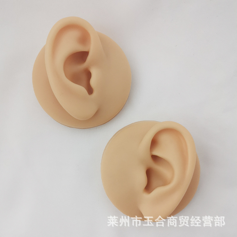 Silicone Artificial Human Ear Model Perforated Ear Point Practice Teaching Props Jewelry Earrings Earrings Display Bracket