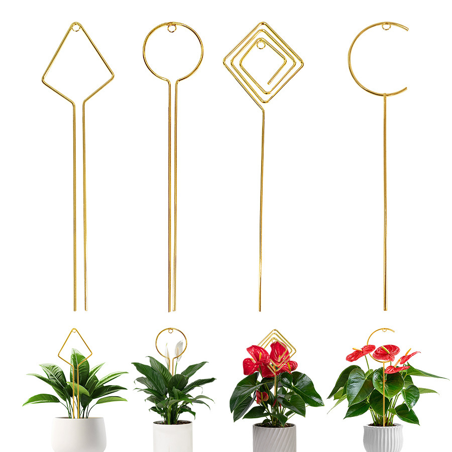 Cross-Border Plant Climbing Flower Stand Creative Flower Support Stand Metal Fixed Flower Plant Stand Climbing Vine Amazon Flower Stand