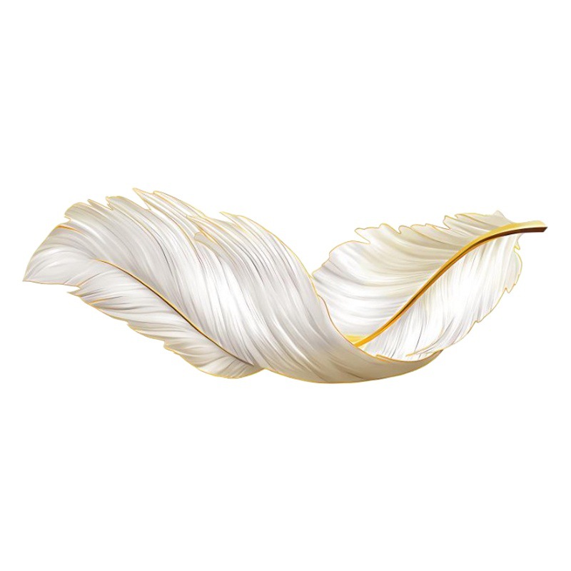 Feather living room decorative painting sofa background wall painting High sense LED lamp bedroom bedside mural porch lamp painting
