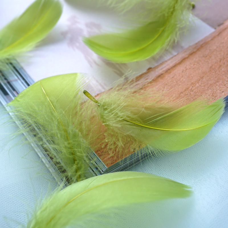 Picture of Color feather DIY floating dyeing goose feather dream catcher wave ball gift box filling decorative materials wholesale