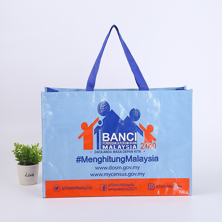 Laminated Composite Printing Ogo Thickeneded Gift Bag Clothing Supermarket Handbag Snakeskin Bag Pp Woven Shopping Bag