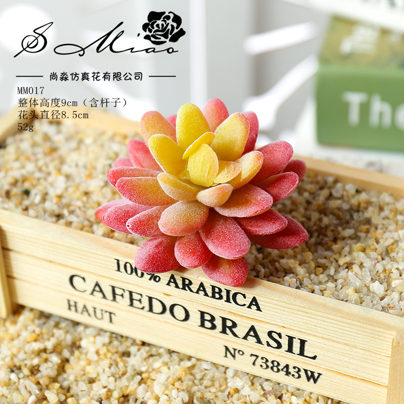 Picture of 006 Flocked Red Series Succulents Creative DIY Supplies Accessories Factory Direct Supply Wholesale Artificial Green