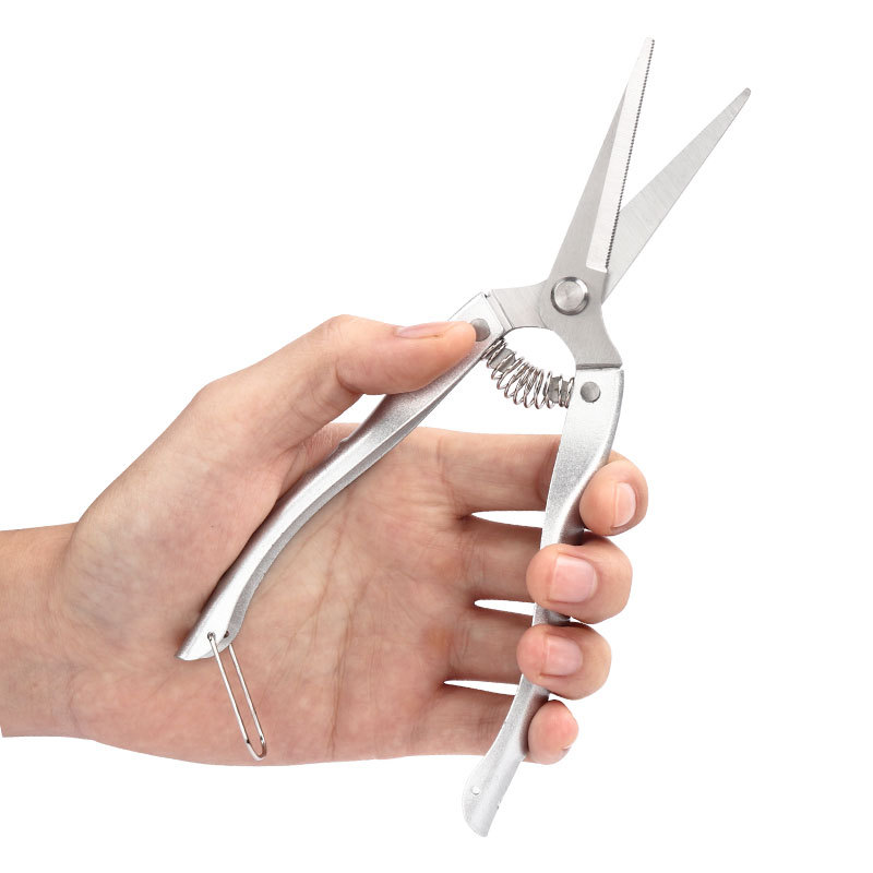 Picture of Stainless Steel Fruit Picking Shears Pruning Shears Fruit Branch Shears Garden and Gardening Shears with Serrated Zinc Alloy Grip Handle Fruit Tree Chopped Shears