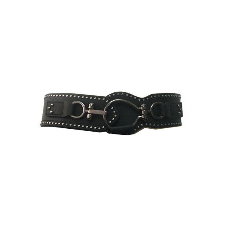 Picture of European and American punk style ultra-long fringed skirt women's waist seal fashion rivet wide belt elastic black buckle accessories