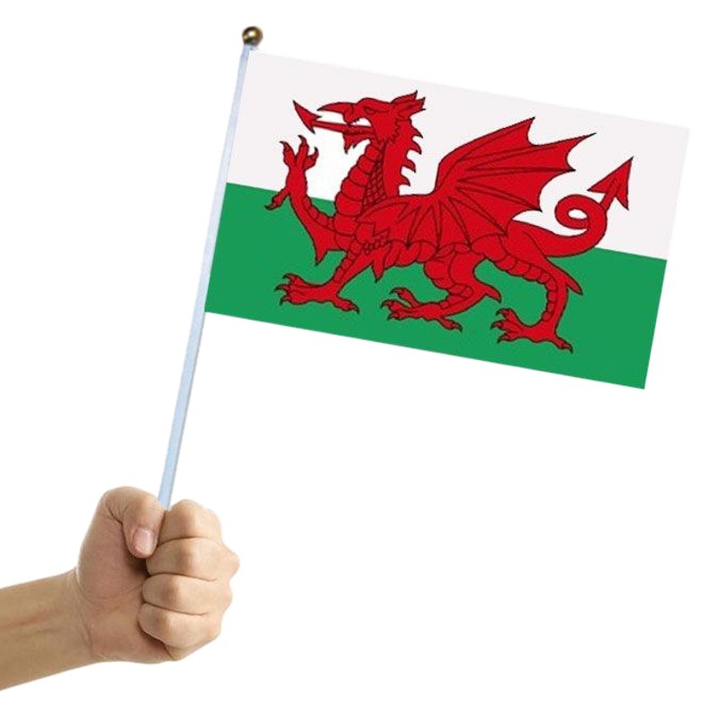 Cross-Border Manufacturer No. 8 14*21cm Korean Hand-Waving Flags, Flags of Various Countries in the World, Custom-Made Flags
