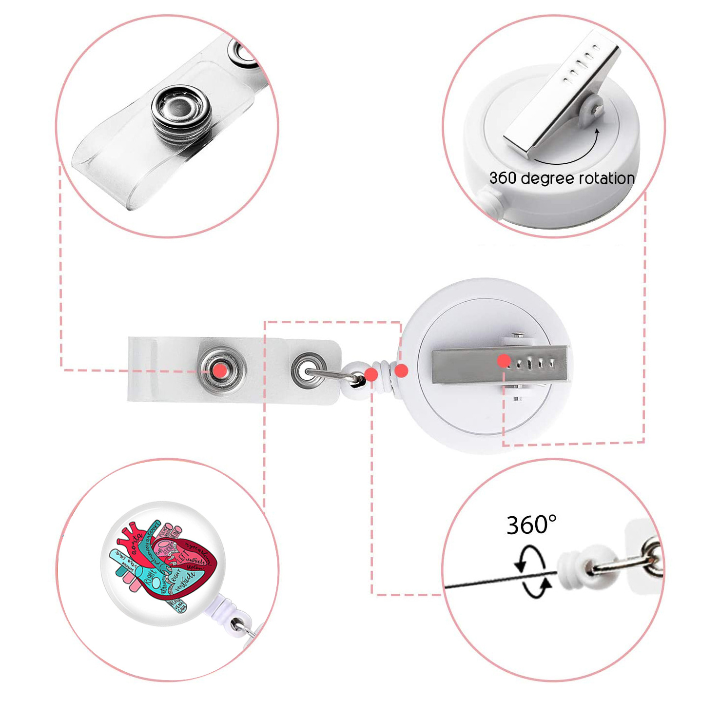 Picture of Heart, Spleen and Lung Brain, Large Intestine Organ Easy-Pull Buckle, Telescopic Easy-Pull Id Buckle, Doctor Nurse Badge Buckle Badge