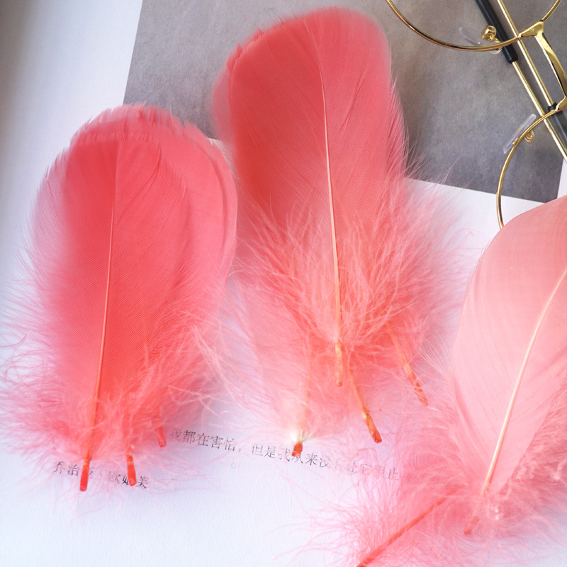 Picture of Color feather DIY floating dyeing goose feather dream catcher wave ball gift box filling decorative materials wholesale