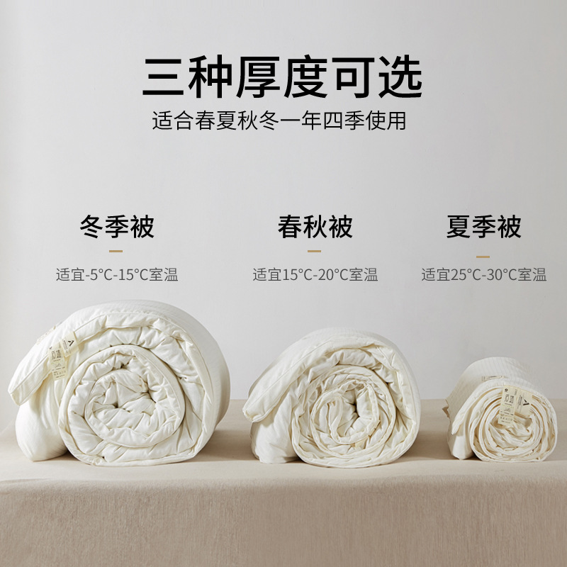 Picture of Class A pure cotton soybean fiber summer cool quilt spring and autumn single student Air conditioning child and mother quilt core machine washable