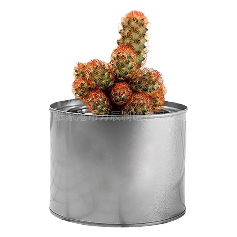Spot Iron Jar Round Succulent Planting Flower Pot Metal Storage Lidless Moisture-Proof Tinplate Jar Wholesale
