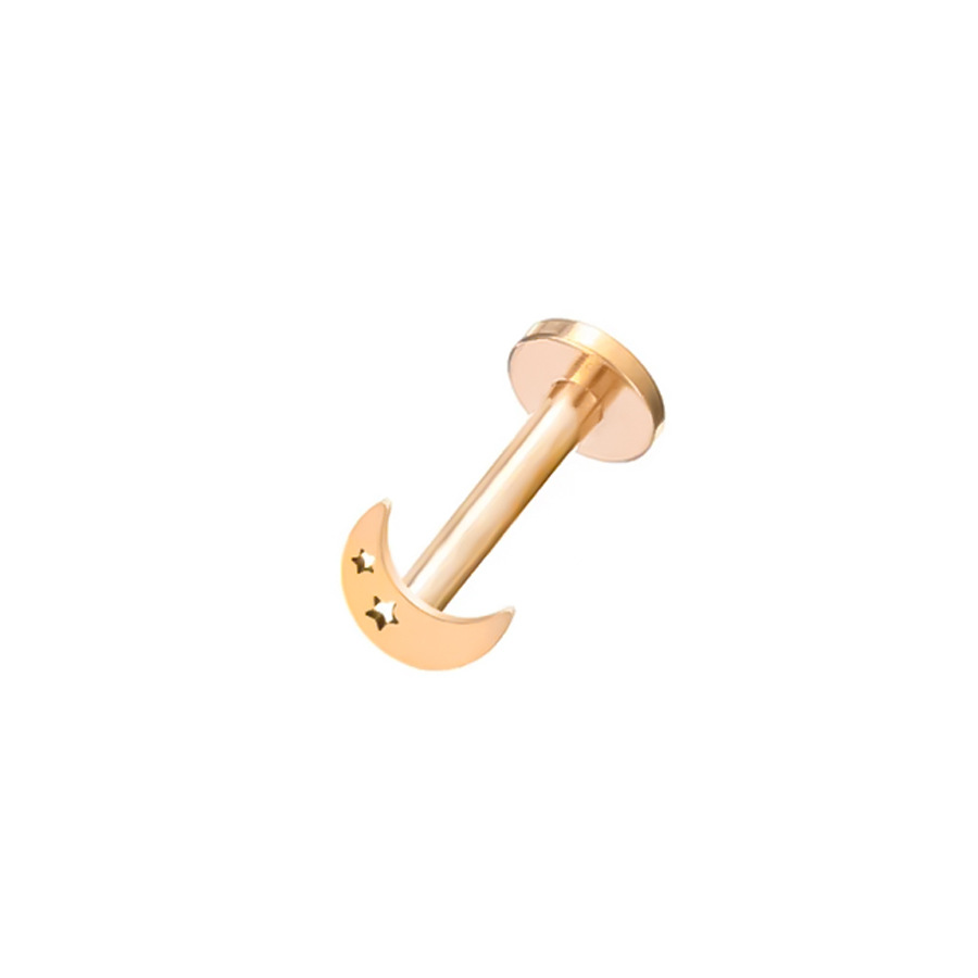 Picture of 2024 new 100% 316L stainless steel hollow moon star geometric figure lip nail ear bone nail 18K gold plated