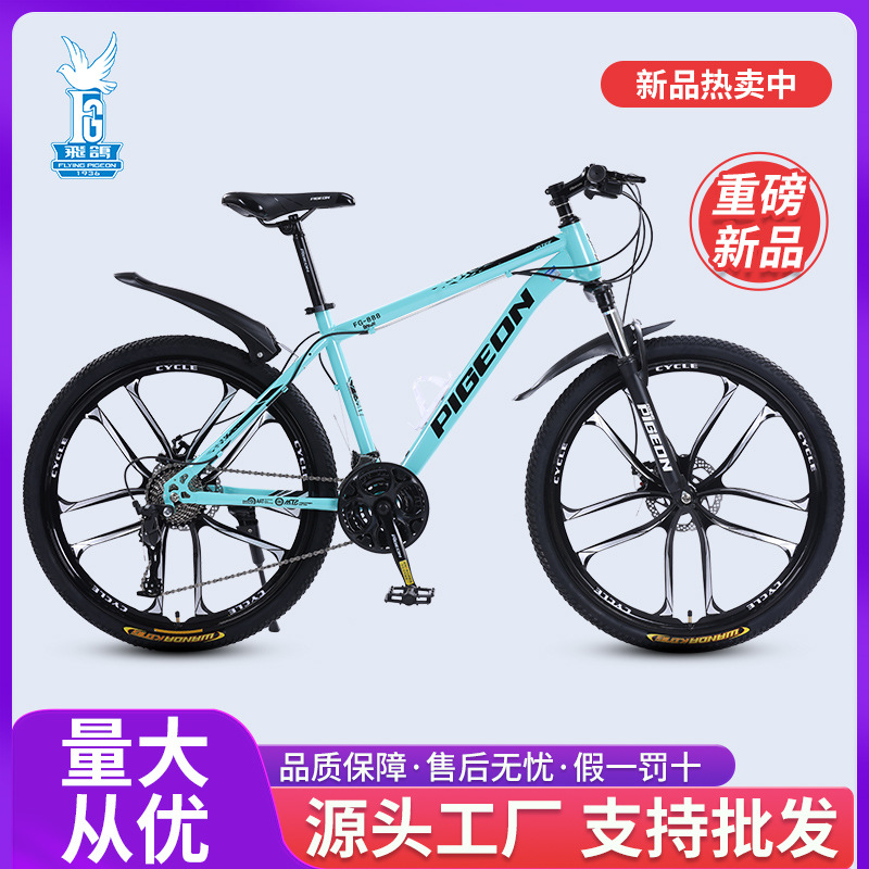 Picture of Flying Pigeon Bike Men's Cross-country Variable Speed Mountain Bike 24 Inch Outdoor Sports Cycling Road Bike