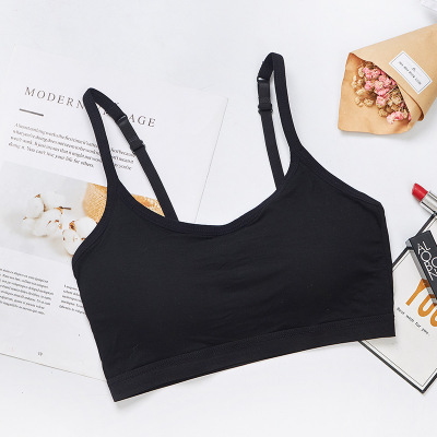 Picture of European and American Foreign Trade Breathable Short Camisole Beautiful Back Bra Fixed Cup No Steel Ring Wrap Breast Tube Top Underwear bra