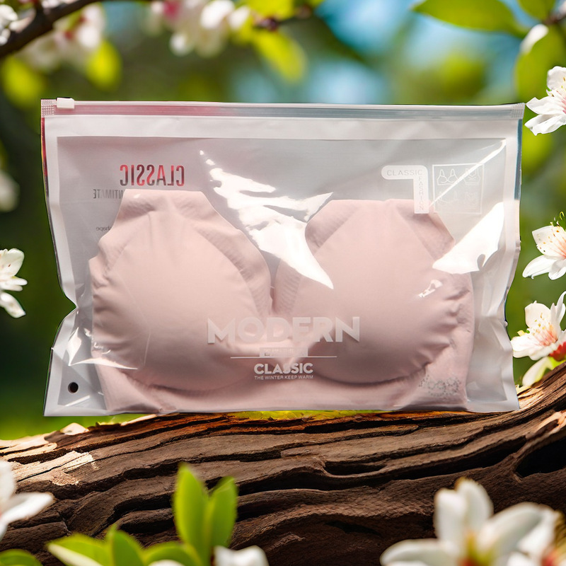 English bra packaging bag strapless beautiful back bra zipper bag 1 underwear transparent frosted bag horizontal pull spot