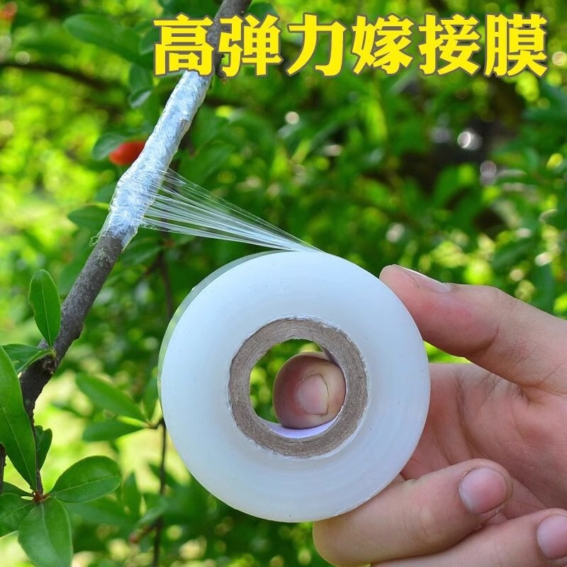 Fruit Tree Grafting Film Knot-Free 3Cm5Cm6Cm8Cm10Cm Packaging Stretch Film Takeaway Film Pe Small Roll Wrapping Film