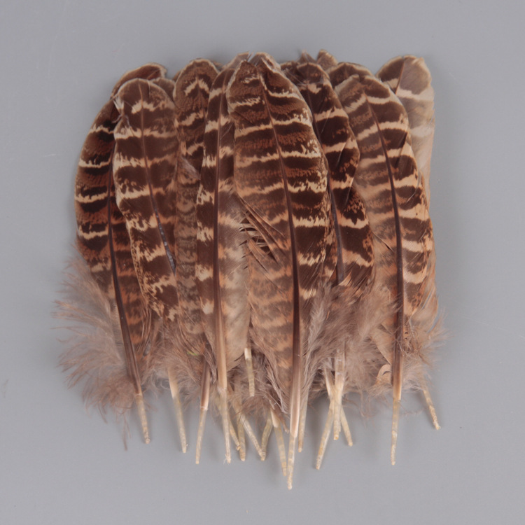 Natural feather mother mountain chicken nest feather 10-15cm pheasant nest feather feather pheasant tail feather DIY jewelry accessories