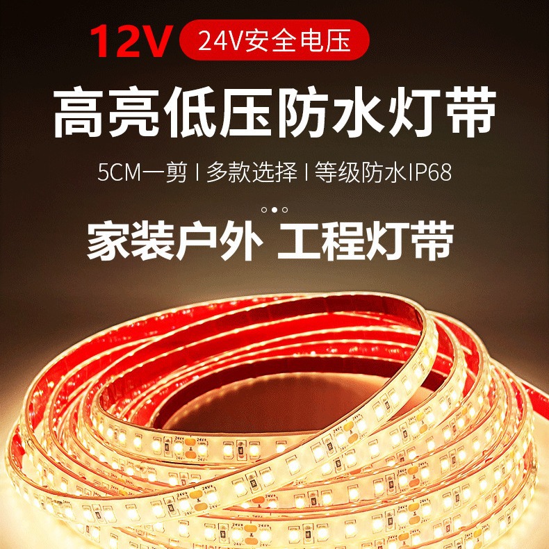 Picture of Highlight 2835 coated IP68 waterproof silicone low pressure 24v outdoor fountain swimming pool landscape lighting led strip