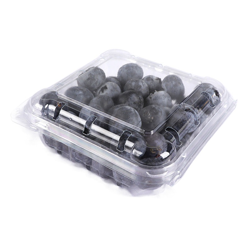 125g blueberry box jiawoyi blueberry box transparent disposable raspberry Mulberry crisper pet fruit packaging