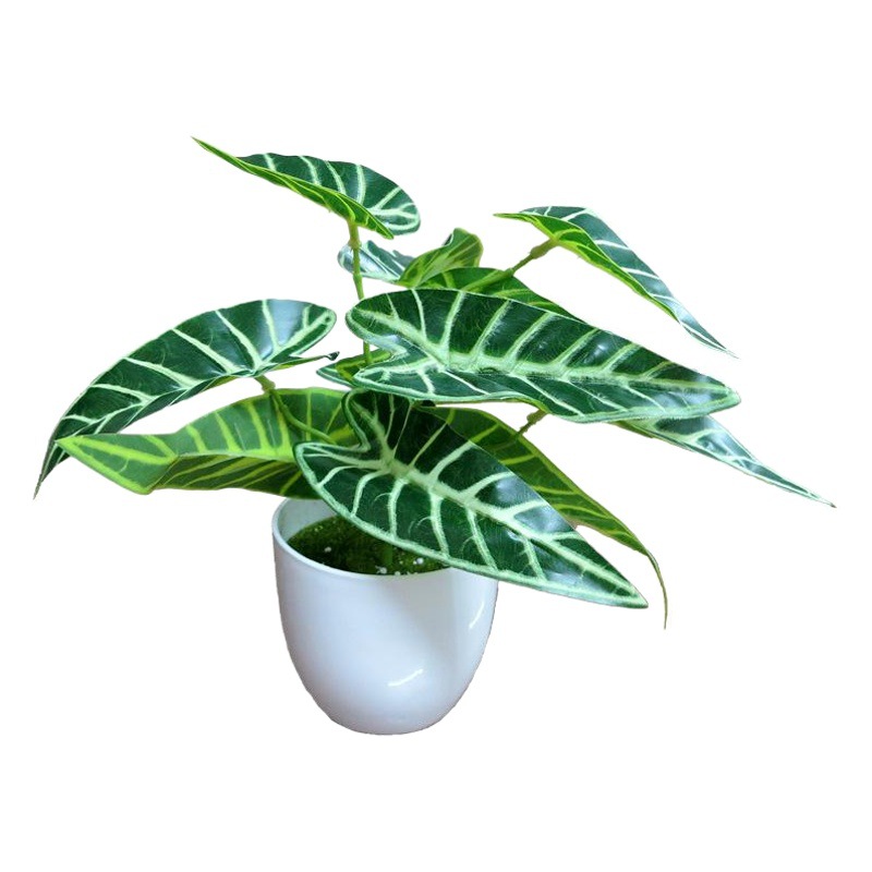 Artificial plant wall accessories green plant wall with grass plastic flower wedding decoration Persian leaf green radish decoration factory wholesale