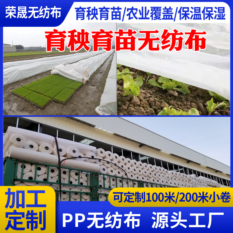 Factory in stock Direct Supply Seedling Irrigation Non-woven Fabric Covering Insulation Moisturizing Cloth Harvest Cloth Breathable Anti-frost Agricultural