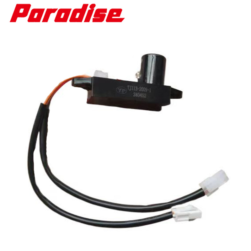 Loncin LC3000i Inverter generator 63584 ignition module TJ113-2009-1 63584