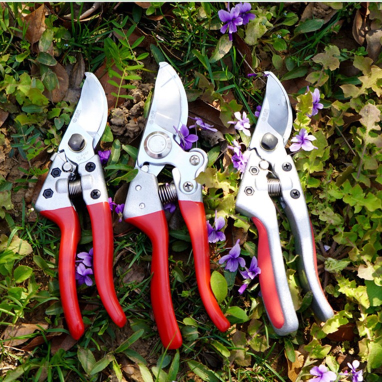 Supply wholesale garden shears fruit tree shears labor-saving fruit branch shears pruning shears gardening shears