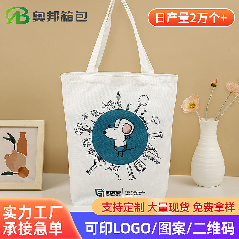 Student Canvas Bag Ins High-End Souvenir Tutoring Bag Cartoon Advertising Blank Cotton Bag Shopping Tote Bag