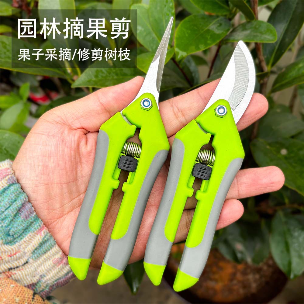 Picture of Gardening Scissors, Pruning Shears, Fruit and Vegetable Scissors, Branch Scissors, Fruit Tree Scissors, Grape Picking Scissors, Garden Tools, Fruit Picking Ready Stock