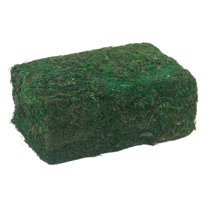 Simulation Moss Shigstem Moss Simulation Green Plant Flower Material Simulation Moss Flower Art Cross-border Export
